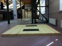 помост для пауэрлифтинга atlet (соревновательный) 2,5х2,5х0,1 м imp-a424